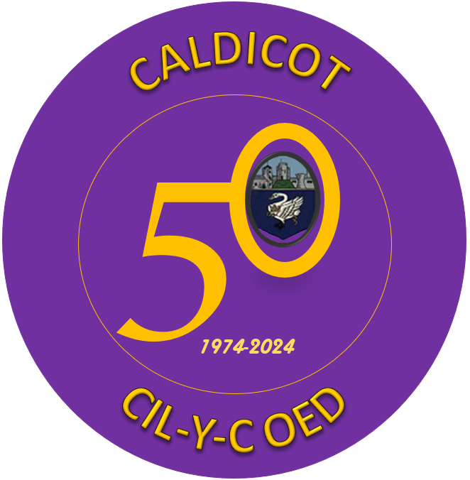 picture of town council 50 years logo