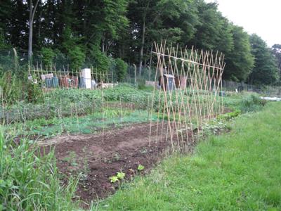 Oakley Way Allotments