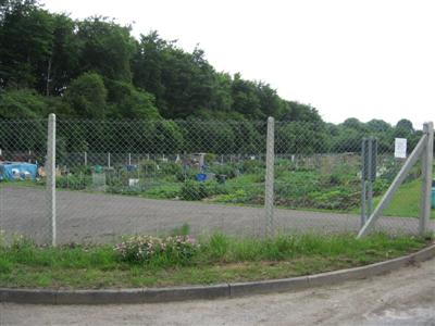 Sandy Lane Allotments