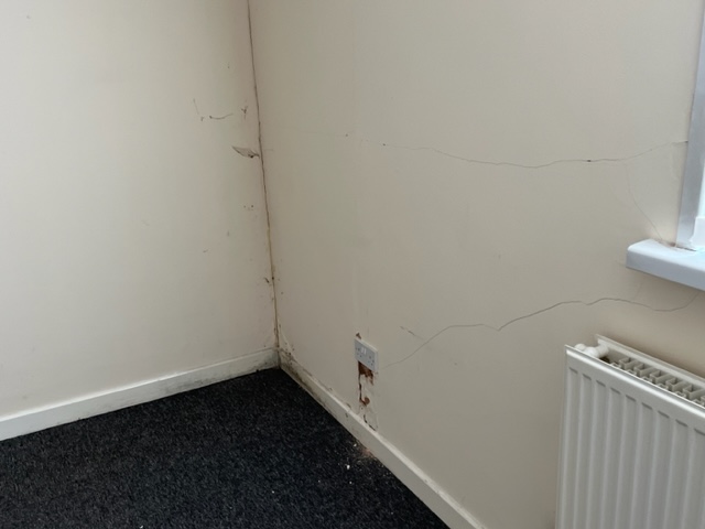 Rising damp interior wall office